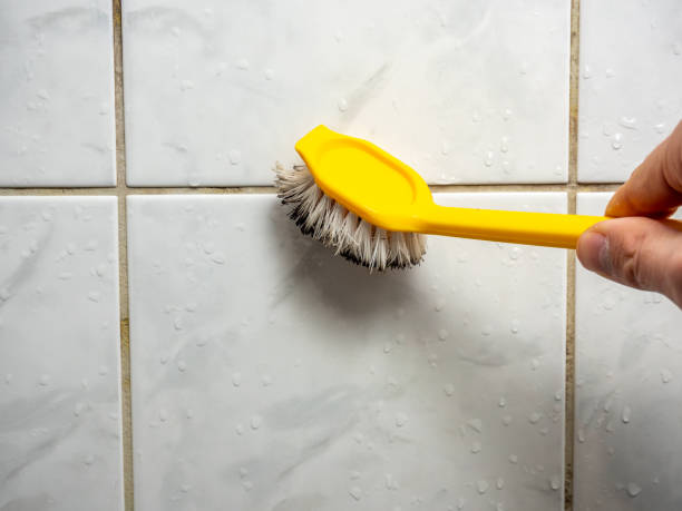 Best Mold Removal and Inspection  in Carteret, NJ