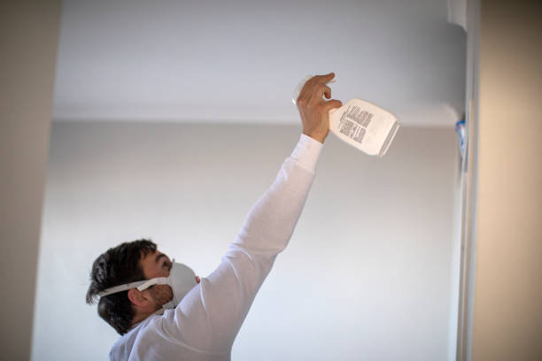 Best Mold Removal Company Near Me  in Carteret, NJ