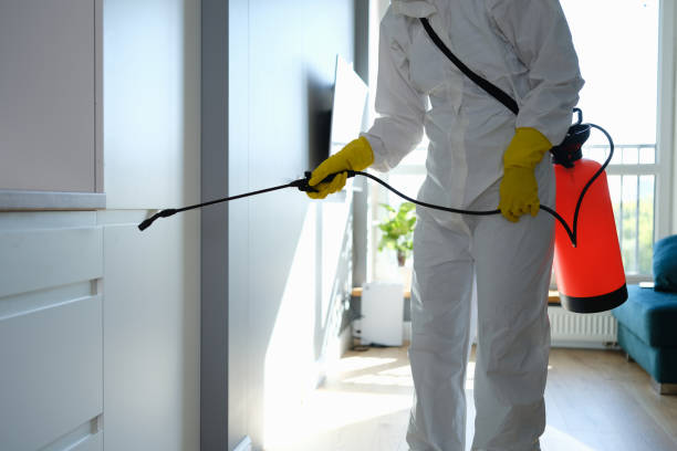 Best Professional Mold Removal  in Carteret, NJ
