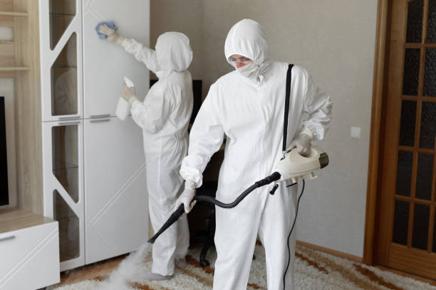 Crawl Space Mold Removal in Carteret, NJ
