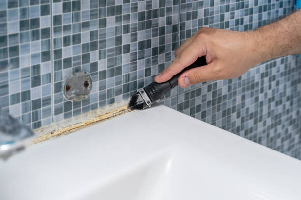 Professional Mold Removal in Carteret, NJ